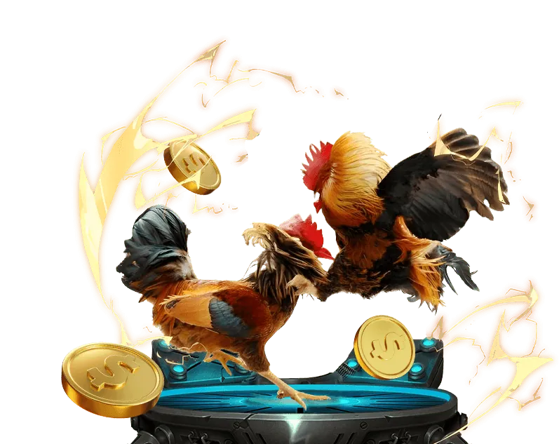 Sic Bo trực tiếp